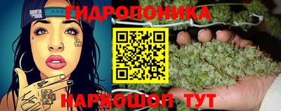 ALPHA PVP Беслан