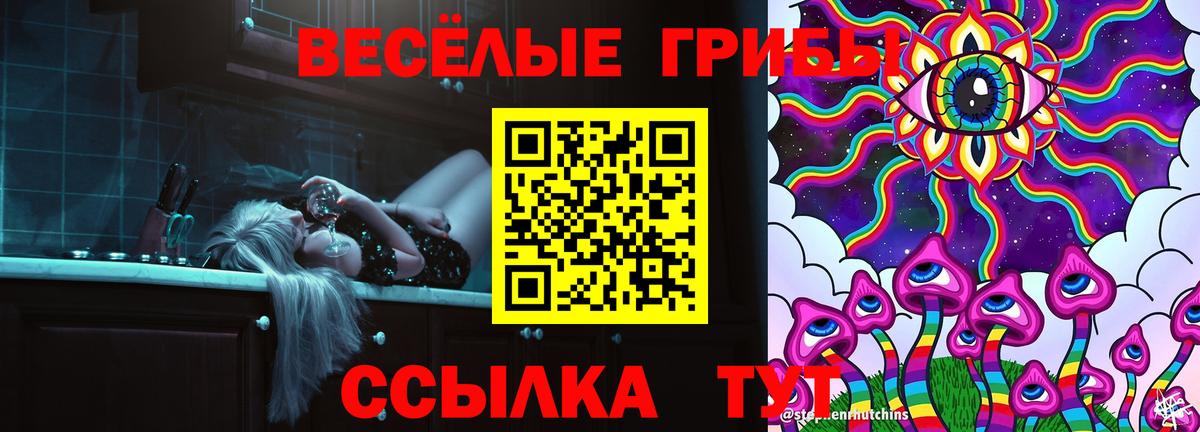 Псилоцибиновые грибы Psilocybe  Вход с VPN  Псилоцибиновые грибы Psilocybe  Киров 